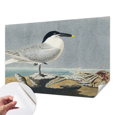 Selbstklebende Fototapete fürs Kinderzimmer mit einem ornithologischen Motiv
