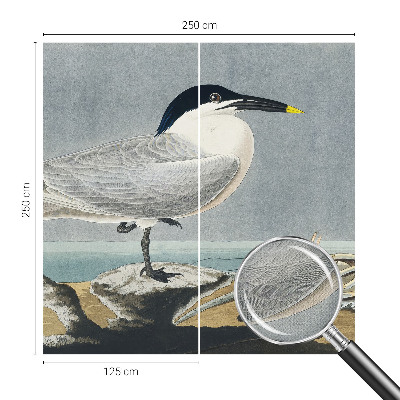 Selbstklebende Fototapete fürs Kinderzimmer mit einem ornithologischen Motiv