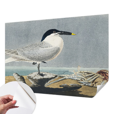 Selbstklebende Fototapete fürs Kinderzimmer mit einem ornithologischen Motiv
