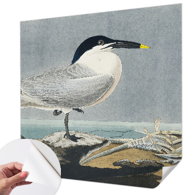 Selbstklebende Fototapete fürs Kinderzimmer mit einem ornithologischen Motiv
