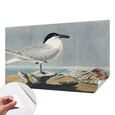 Selbstklebende Fototapete fürs Kinderzimmer mit einem ornithologischen Motiv