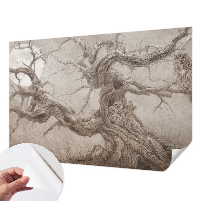 Hochwertige Bildtapete Nachtvögel