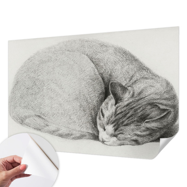 Selbstklebende Fototapete mit zusammengerollter Katzenillustration