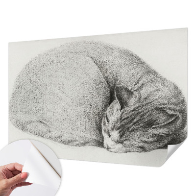 Selbstklebende Fototapete mit zusammengerollter Katzenillustration