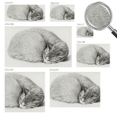 Selbstklebende Fototapete mit zusammengerollter Katzenillustration