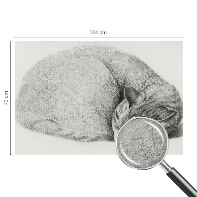 Selbstklebende Fototapete mit zusammengerollter Katzenillustration