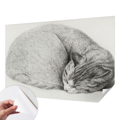 Selbstklebende Fototapete mit zusammengerollter Katzenillustration
