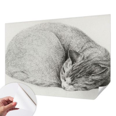 Selbstklebende Fototapete mit zusammengerollter Katzenillustration