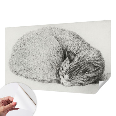 Selbstklebende Fototapete mit zusammengerollter Katzenillustration
