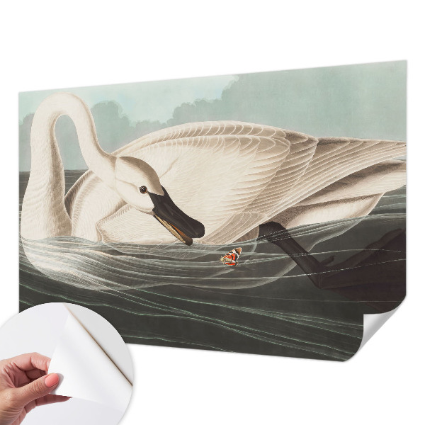 72D-Fototapete Harmonie der Natur als detailreiche Wandgestaltung