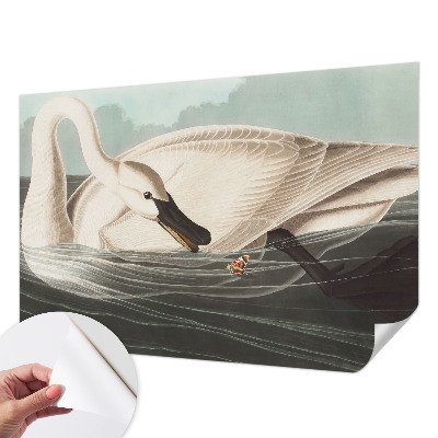 72D-Fototapete Harmonie der Natur