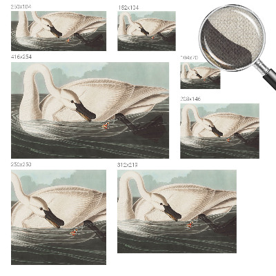 72D-Fototapete Harmonie der Natur als detailreiche Wandgestaltung