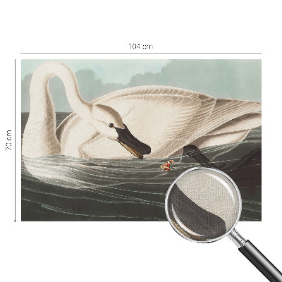72D-Fototapete Harmonie der Natur als detailreiche Wandgestaltung