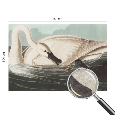72D-Fototapete Harmonie der Natur als detailreiche Wandgestaltung
