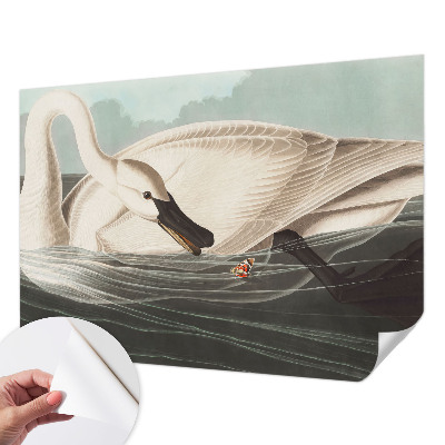 72D-Fototapete Harmonie der Natur