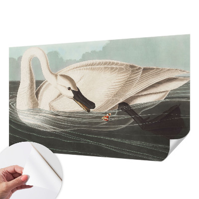 72D-Fototapete Harmonie der Natur