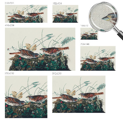 Fototapete in 3D-Optik Der Zauber der Natur