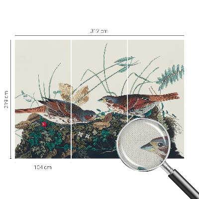 Fototapete in 3D-Optik der Zauber der Natur als fotorealistisches Motiv