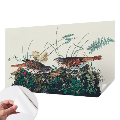 Fototapete in 3D-Optik der Zauber der Natur als fotorealistisches Motiv