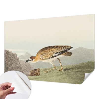 72D-Fototapete fürs Wohnzimmer mit Motiv eines Bergvogels