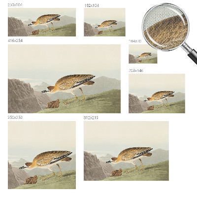 72D-Fototapete fürs Wohnzimmer Bergvogel