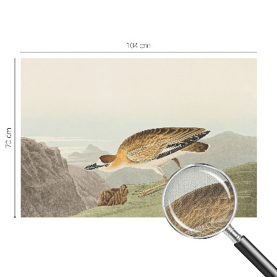 72D-Fototapete fürs Wohnzimmer Bergvogel