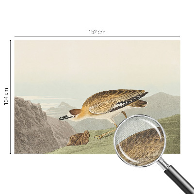 72D-Fototapete fürs Wohnzimmer mit Motiv eines Bergvogels