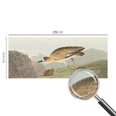72D-Fototapete fürs Wohnzimmer mit Motiv eines Bergvogels