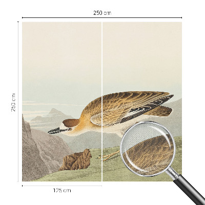 72D-Fototapete fürs Wohnzimmer mit Motiv eines Bergvogels