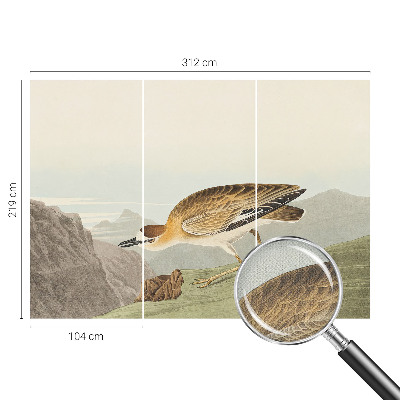 72D-Fototapete fürs Wohnzimmer Bergvogel