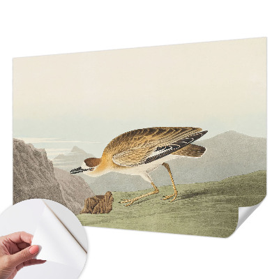 72D-Fototapete fürs Wohnzimmer mit Motiv eines Bergvogels