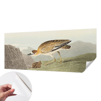 72D-Fototapete fürs Wohnzimmer mit Motiv eines Bergvogels