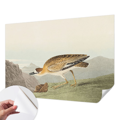 72D-Fototapete fürs Wohnzimmer mit Motiv eines Bergvogels