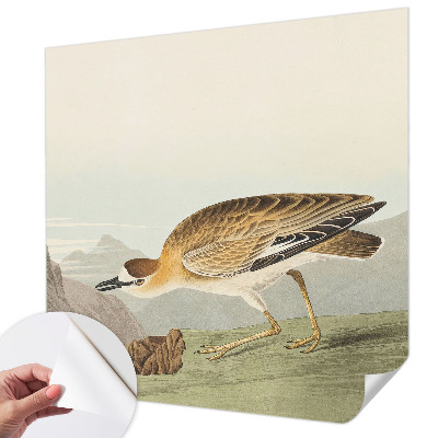 72D-Fototapete fürs Wohnzimmer mit Motiv eines Bergvogels