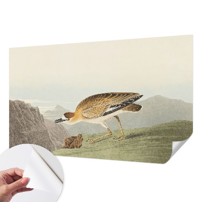 72D-Fototapete fürs Wohnzimmer mit Motiv eines Bergvogels