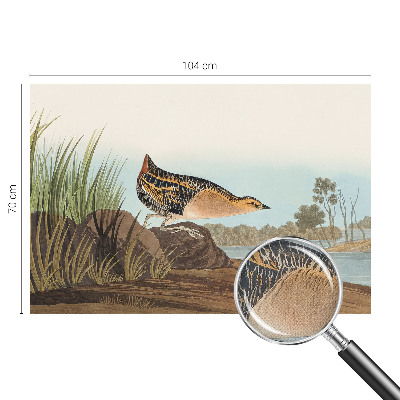 72D-Fototapete fürs Schlafzimmer Naturszene