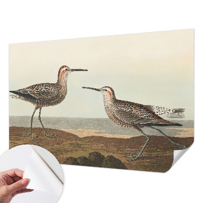 80D-Fototapete mit Vogelsilhouetten