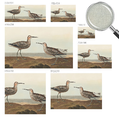 80D-Fototapete Vogelsilhouetten