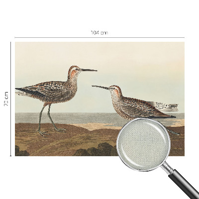 80D-Fototapete Vogelsilhouetten