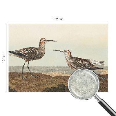 80D-Fototapete mit Vogelsilhouetten