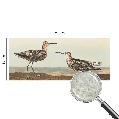 80D-Fototapete Vogelsilhouetten