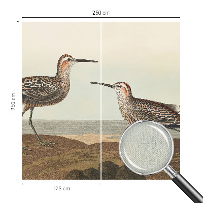 80D-Fototapete Vogelsilhouetten