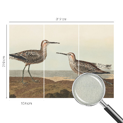 80D-Fototapete Vogelsilhouetten