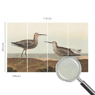 80D-Fototapete Vogelsilhouetten