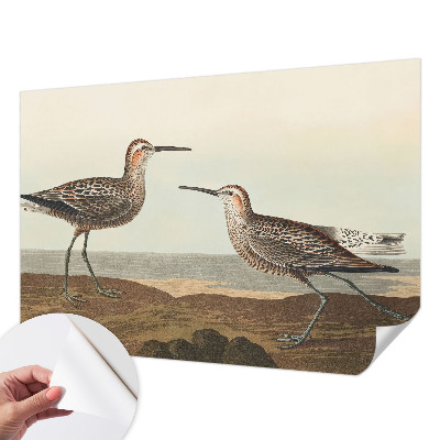 80D-Fototapete Vogelsilhouetten