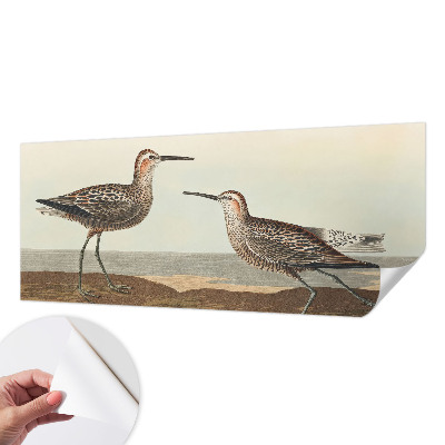 80D-Fototapete Vogelsilhouetten