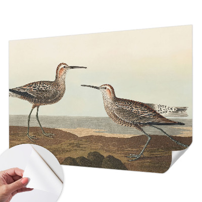 80D-Fototapete Vogelsilhouetten