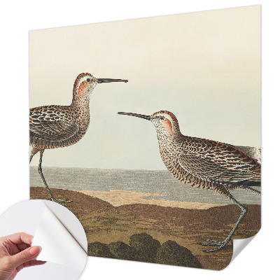 80D-Fototapete Vogelsilhouetten