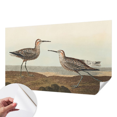 80D-Fototapete Vogelsilhouetten