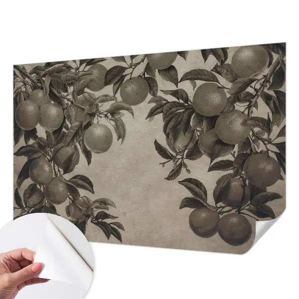 Selbstklebende Fototapete fürs Schlafzimmer mit einem Muster aus Früchten